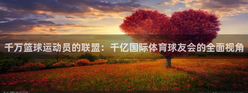 开丰娱乐登录：千万篮球运动员的联盟：千亿国际体育球友会的全面视角