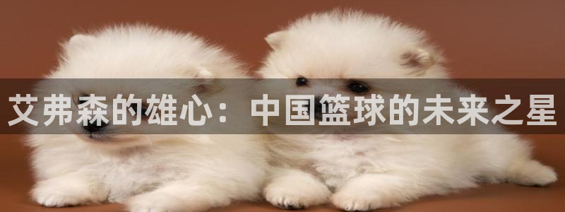 开丰娱乐官网下载：艾弗森的雄心：中国篮球的未来之星