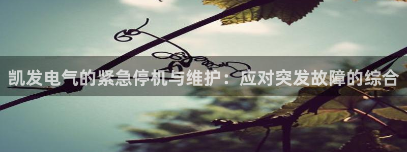 开丰娱乐登录注册：凯发电气的紧急停机与维护：应对突发故障的综合