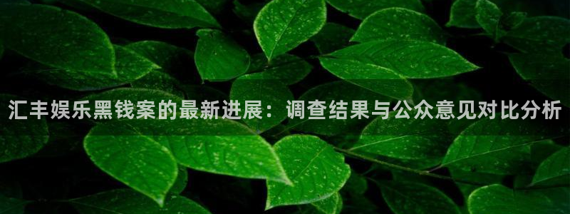开丰娱乐登录：汇丰娱乐黑钱案的最新进展：调查结果与公众意见对比分析