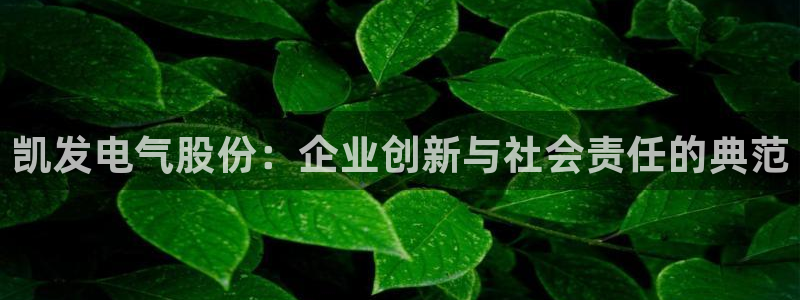 开丰娱乐pg：凯发电气股份：企业创新与社会责任的典范
