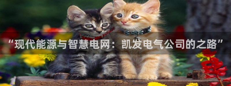 开丰娱乐是大平台吗：“现代能源与智慧电网：凯发电气公司的之路”