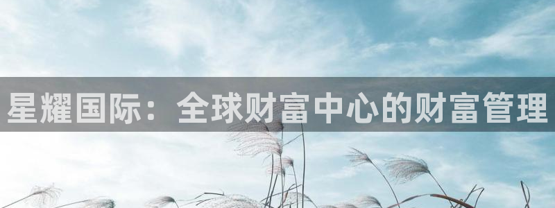 开丰娱乐放水时间：星耀国际：全球财富中心的财富管理