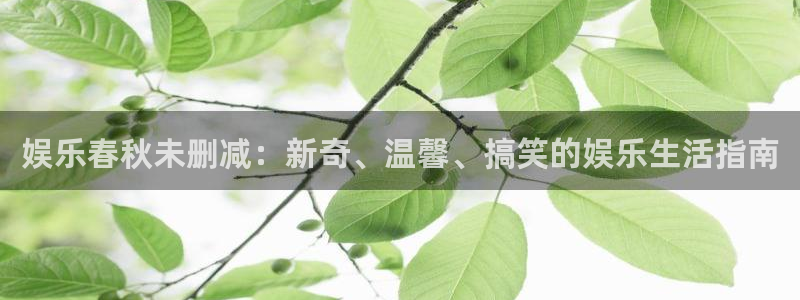 开丰娱乐2代理注册：娱乐春秋未删减：新奇、温馨、搞笑的娱乐生活指南