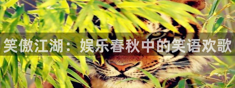 开丰娱乐平台招商：笑傲江湖：娱乐春秋中的笑语欢歌