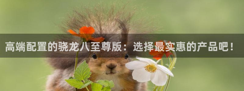开丰娱乐4开户：高端配置的骁龙八至尊版：选择最实惠的产品吧！
