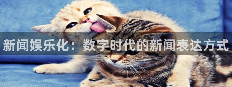 开丰娱乐加拿大官网：新闻娱乐化：数字时代的新闻表达方式