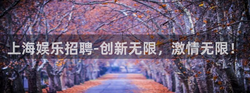 开丰娱乐体育官网注册：上海娱乐招聘-创新无限，激情无限！