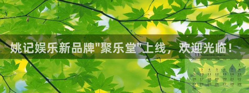 开丰娱乐手机版下载：姚记娱乐新品牌\