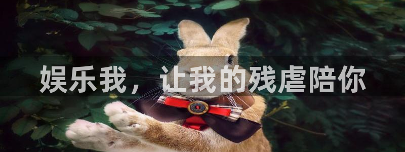 开丰娱乐app：娱乐我，让我的残虐陪你