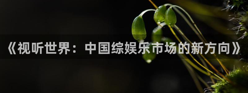 开丰娱乐网站登录流程：《视听世界：中国综娱乐市场的新方向》