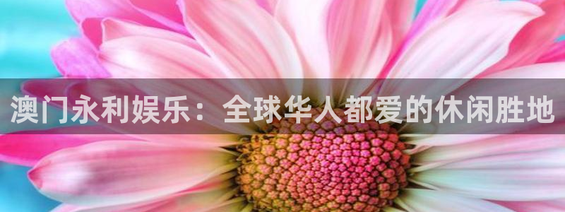 开丰娱乐官网版