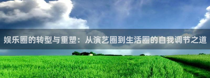 开丰娱乐有梦你就来：娱乐圈的转型与重塑：从演艺圈到生活圈的自我调节之道