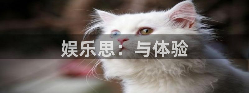 开丰娱乐那个爆率高：娱乐思：与体验