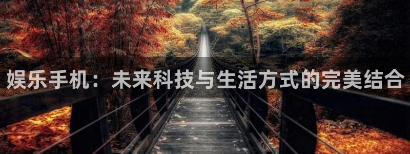 开丰娱乐主管：娱乐手机：未来科技与生活方式的完美结合