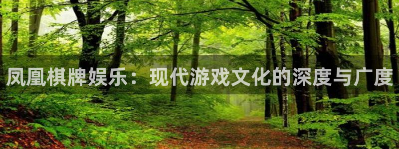 开丰娱乐4：凤凰棋牌娱乐：现代游戏文化的深度与广度